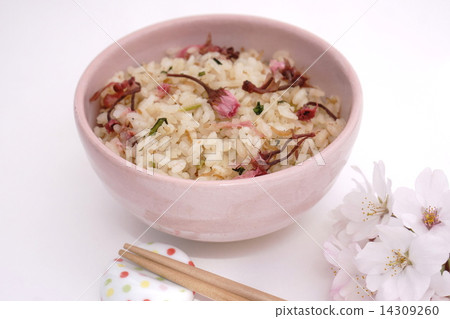 Cherry Blossoms Cherry Blossoms 14309260