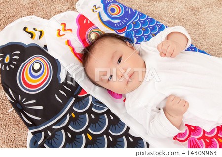 boy, baby's first annual festival, carp streamer 14309963
