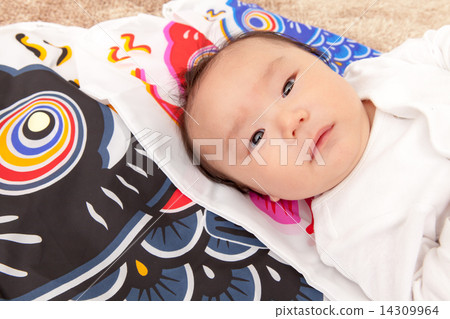 boy, baby's first annual festival, carp streamer 14309964