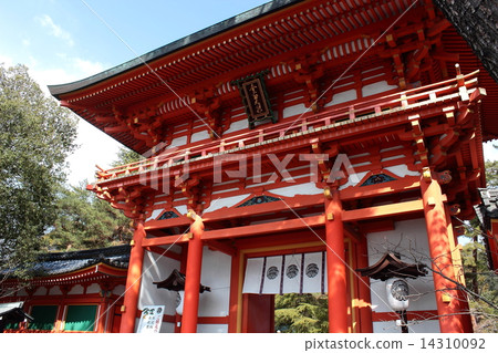 京都今宮神社花門 京都今宮神社花門 14310092
