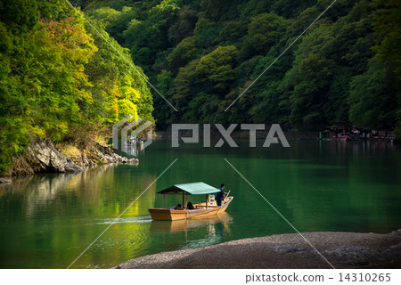 保津川血統 14310265