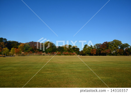 Shin Marun square 14310357