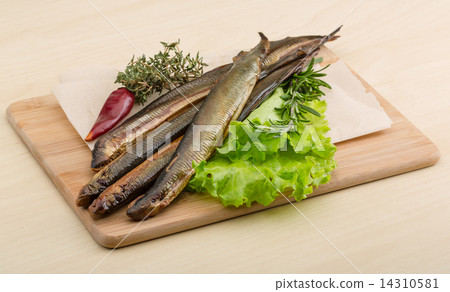 Lamprey Lamprey 14310581