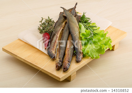 Lamprey Lamprey 14310852