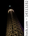 夜晚的天空樹 14313282