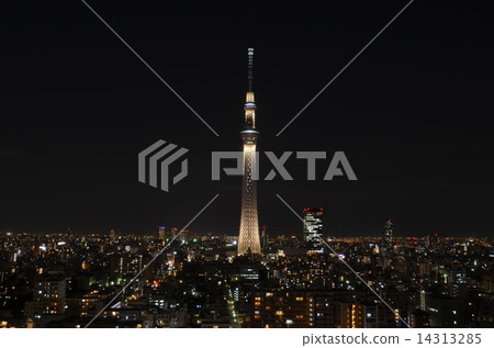 可以看到天空樹的夜晚 14313285