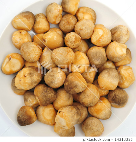 Mushroom Mushroom 14313355