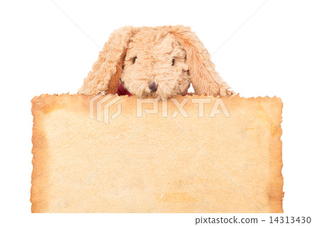 Rabbit, holding old grunge canvas fabric burn edge for happy eas Rabbit, holding old grunge canvas fabric burn edge for happy eas 14313430