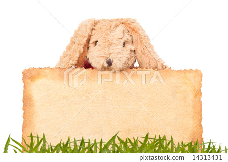 Rabbit, holding old grunge canvas fabric burn edge for happy eas Rabbit, holding old grunge canvas fabric burn edge for happy eas 14313431