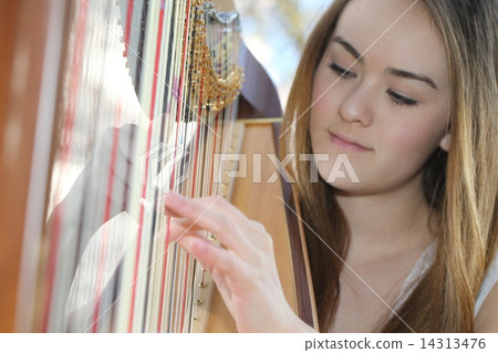 A woman playing a harp - Women who play the harp 14313476
