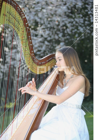 彈豎琴的女人 - 彈豎琴的女人 14313481