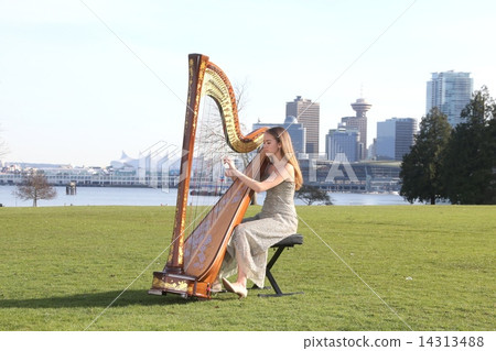 A woman playing a harp - Women who play the harp 14313488