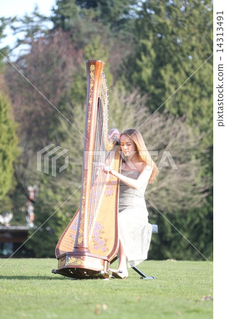 A woman playing a harp - Women who play the harp A woman playing a harp - Women who play the harp 14313491
