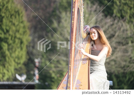 彈豎琴的女人 - 彈豎琴的女人 14313492