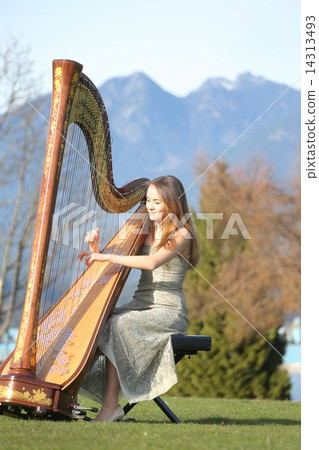 彈豎琴的女人 - 彈豎琴的女人 14313493