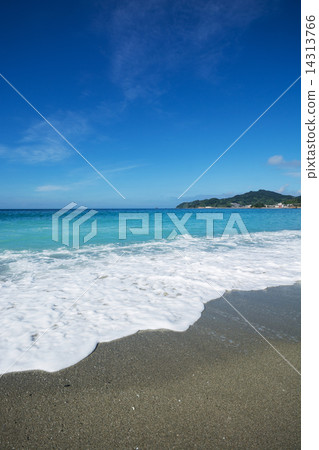The beach The beach 14313766