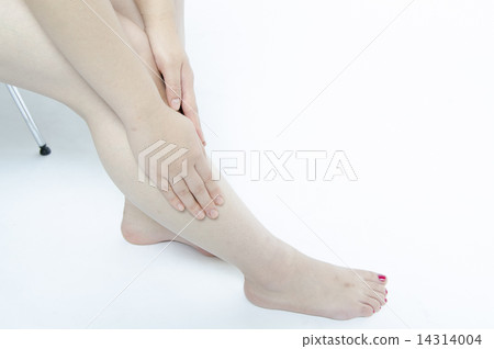 女性的腿美容護理美容 14314004