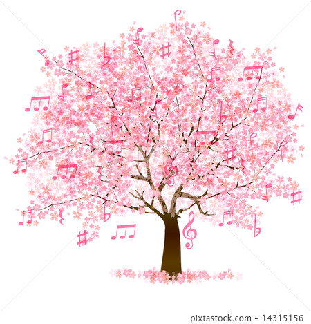 cherry tree notes cherry blossom cherry tree musical note stock illustration 14315156 pixta cherry tree notes cherry blossom cherry tree musical note stock illustration 14315156 pixta