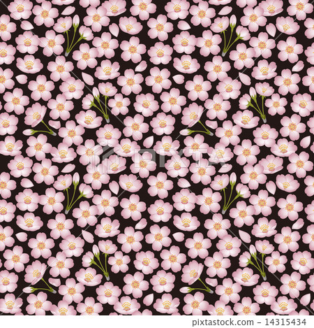 櫻花壁紙 櫻花壁紙 14315434