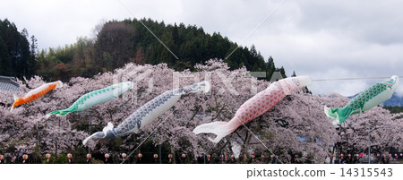 鯉魚旗 鯉魚旗 14315543