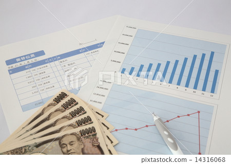 Accounting Accounting 14316068