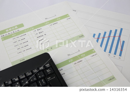 Accounting 14316354