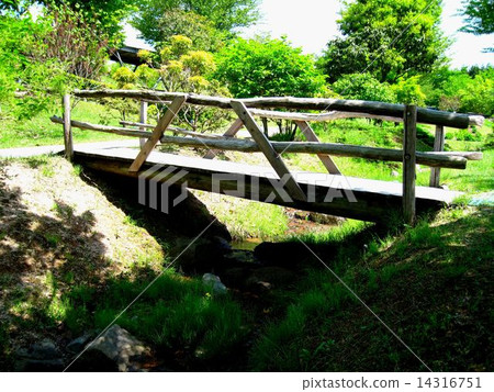 Walking path full of greenery 14316751