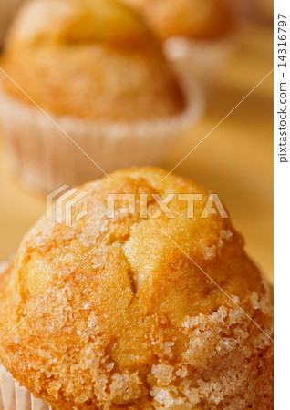 magdalenas, typical spanish plain muffins 14316797