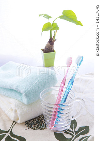 Toiletries 14317645