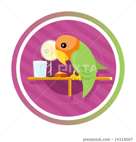 Orange green parro Orange green parro 14318007