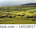Horton Plains 14319017