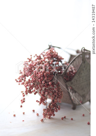 Pepper berry 14319487