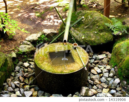 京都龍安寺築梅 14319906