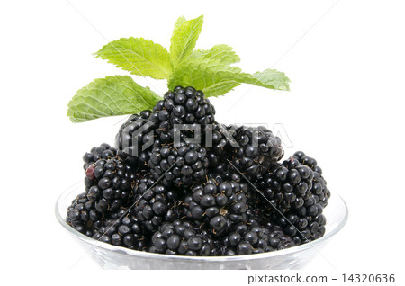 blackberries on a white background in the restaurant blackberries on a white background in the restaurant 14320636