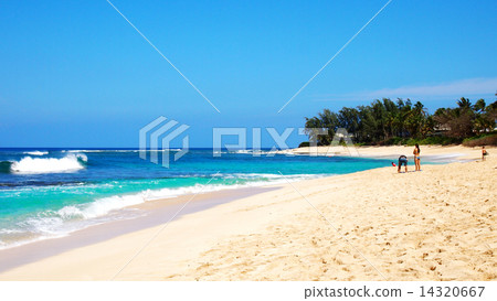 在夏威夷，北岸的海灘 14320667