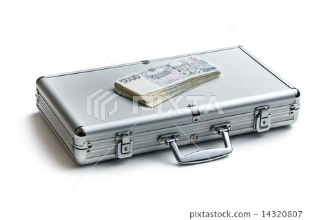 czech money on aluminium case 14320807