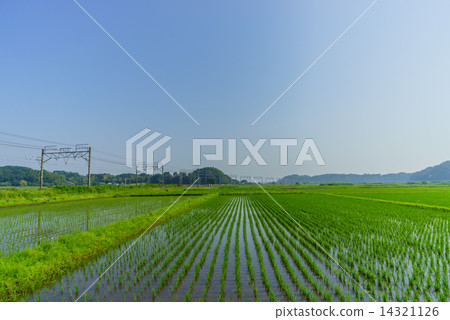 千葉的田園風光 千葉的田園風光 14321126