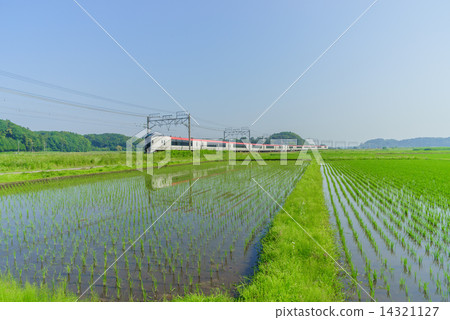 春天農村風景在千葉 14321127
