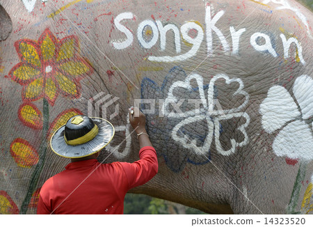 ASIA THAILAND AYUTTHAYA SONGKRAN FESTIVAL 14323520