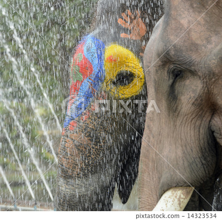 ASIA THAILAND AYUTTHAYA SONGKRAN FESTIVAL 14323534
