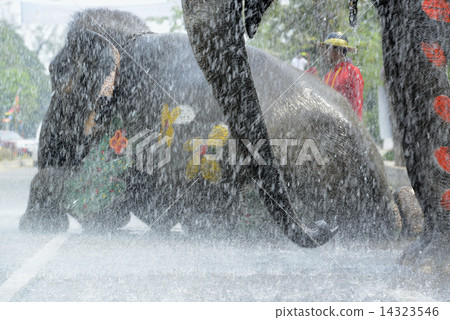 ASIA THAILAND AYUTTHAYA SONGKRAN FESTIVAL 14323546