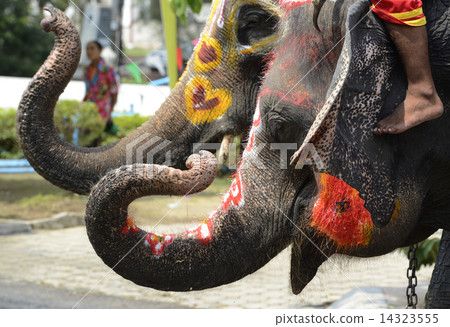 ASIA THAILAND AYUTTHAYA SONGKRAN FESTIVAL 14323555
