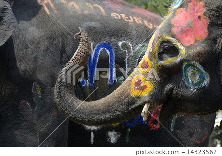 ASIA THAILAND AYUTTHAYA SONGKRAN FESTIVAL 14323562