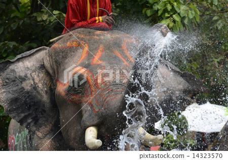 ASIA THAILAND AYUTTHAYA SONGKRAN FESTIVAL 14323570