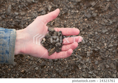 Hand of the farmer holding handful of infertile earth Hand of the farmer holding handful of infertile earth 14323761