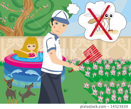 hunt for mosquitoes in the garden 14323839