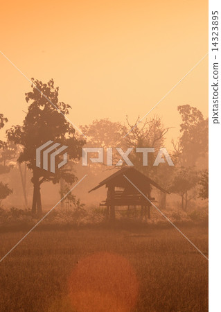 ASIA THAILAND ISAN AMNAT CHAROEN 14323895