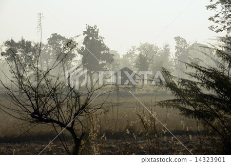 ASIA THAILAND ISAN AMNAT CHAROEN 14323901