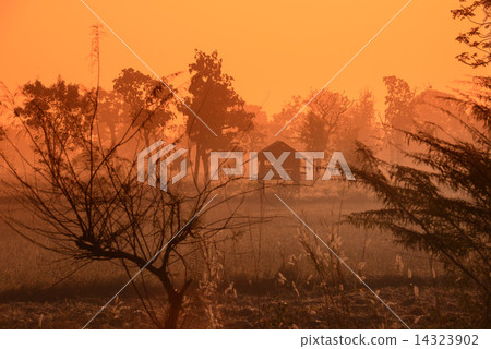 ASIA THAILAND ISAN AMNAT CHAROEN 14323902
