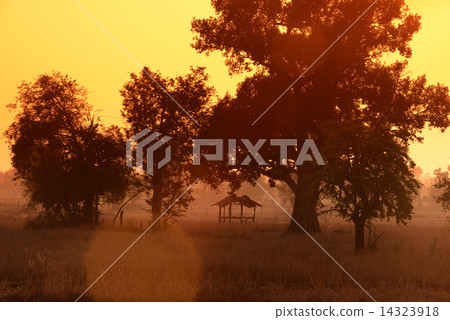 ASIA THAILAND ISAN AMNAT CHAROEN 14323918